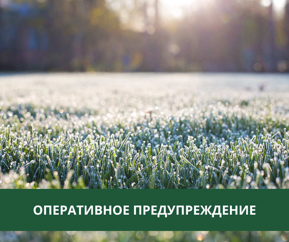 В Томском районе ожидаются заморозки В Томском районе ожидаются заморозки