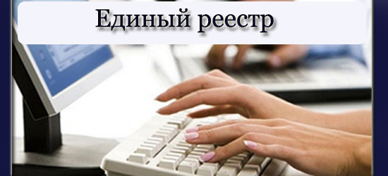 «Единый реестр проверок» «Единый реестр проверок»