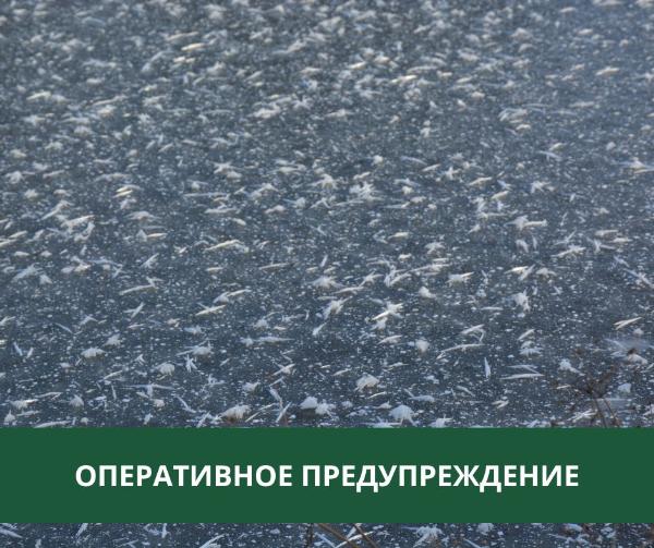 Гололедица и порывистый ветер ожидаются в Томском районе Гололедица и порывистый ветер ожидаются в Томском районе