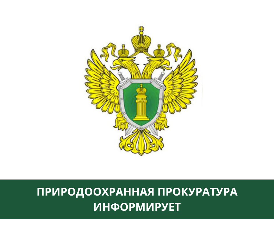 Природоохранная прокуратура: можно ли получить в пользование водный объект? Природоохранная прокуратура: можно ли получить в пользование водный объект?
