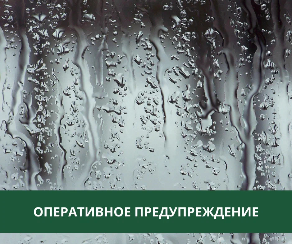 Снег, дождь и порывы ветра ожидаются в Томском районе Снег, дождь и порывы ветра ожидаются в Томском районе
