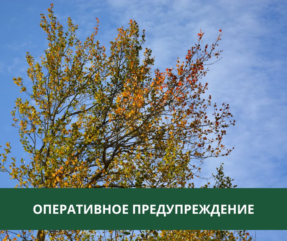 Оперативное предупреждение на 7 июля Оперативное предупреждение на 7 июля