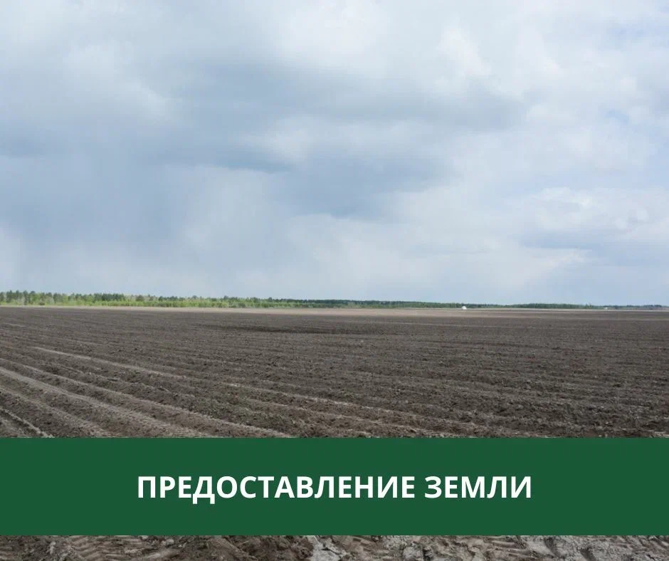 Администрация Томского района предоставляет землю в собственность Администрация Томского района предоставляет землю в собственность