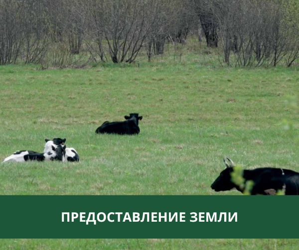 Администрация Томского района информирует граждан, крестьянские (фермерские) хозяйства о возможности предоставления в аренду земельного участка Администрация Томского района информирует граждан, крестьянские (фермерские) хозяйства о возможности предоставления в аренду земельного участка