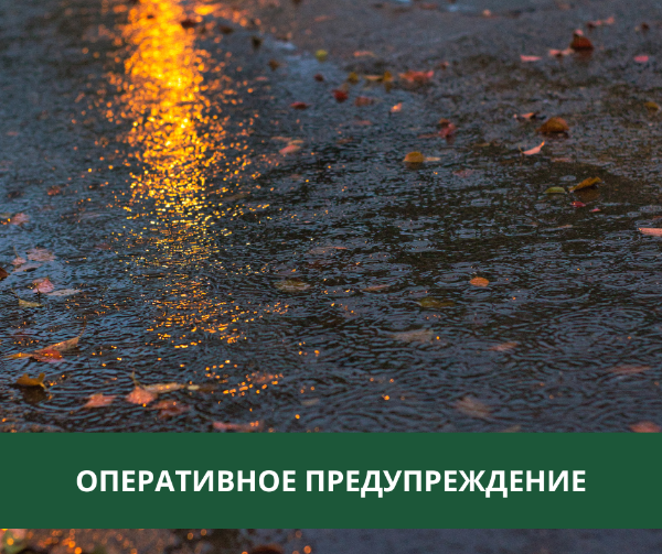 Ливневые дожди, грозы, град и порывы ветра ожидаются в Томском районе Ливневые дожди, грозы, град и порывы ветра ожидаются в Томском районе