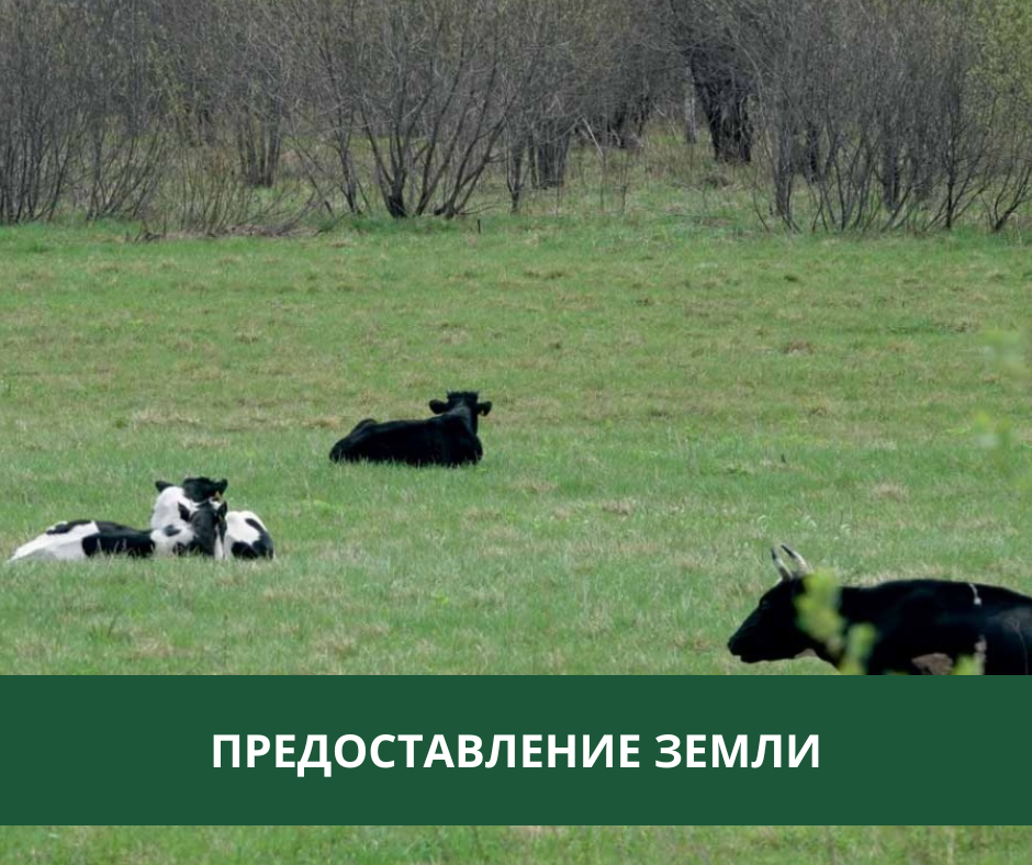 Администрация Томского района предоставляет землю в аренду Администрация Томского района предоставляет землю в аренду