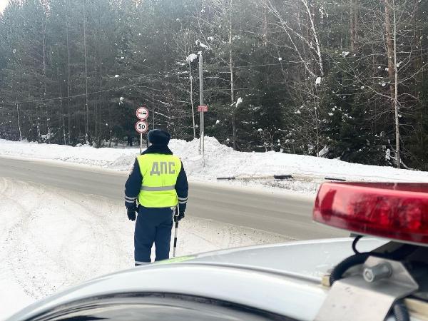 Госавтоинспекция усилила контроль по перевозки леса Госавтоинспекция усилила контроль по перевозки леса