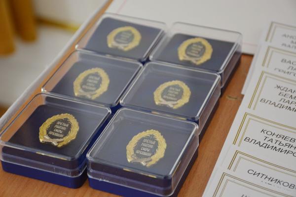 Педагоги Томского района получили награды в честь профессиональных праздников