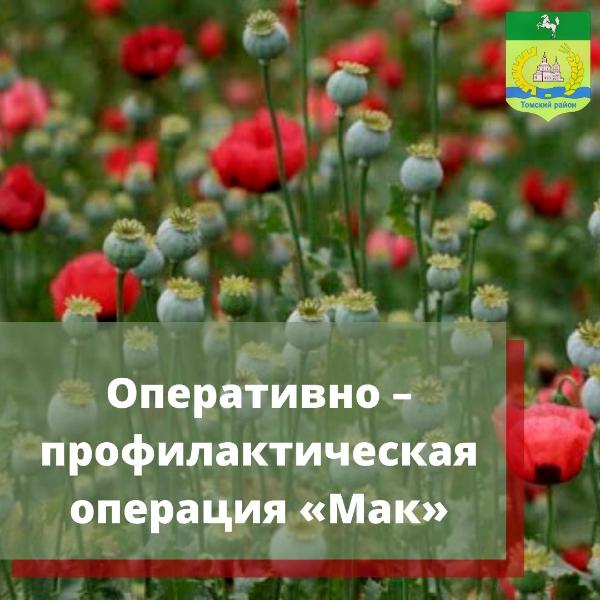 В Томском районе проходит операция «Мак-2022» В Томском районе проходит операция «Мак-2022»
