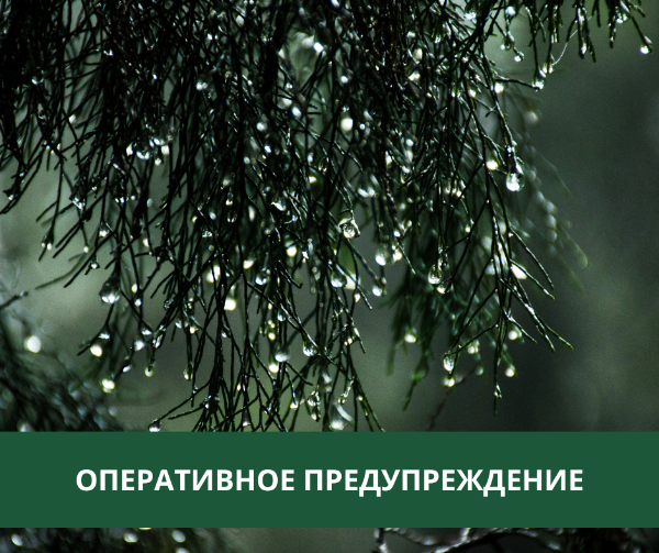 Сильные дожди, грозы и порывистый ветер ожидаются в Томском районе Сильные дожди, грозы и порывистый ветер ожидаются в Томском районе