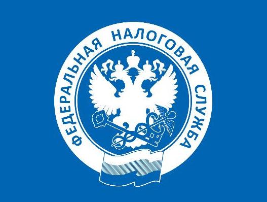 ФНС: срок уплаты имущественных налогов - 1 декабря ФНС: срок уплаты имущественных налогов - 1 декабря