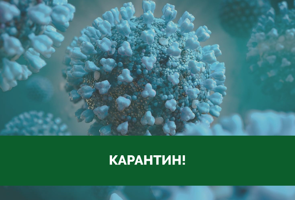 В Томской области продолжают вводить ограничительные меры в целях  профилактики коронавируса