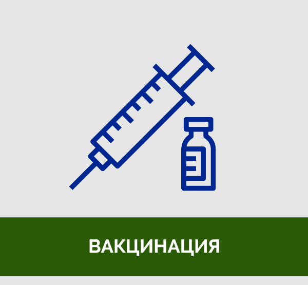 Медики советуют жителям Томского района поставить прививки от гриппа Медики советуют жителям Томского района поставить прививки от гриппа