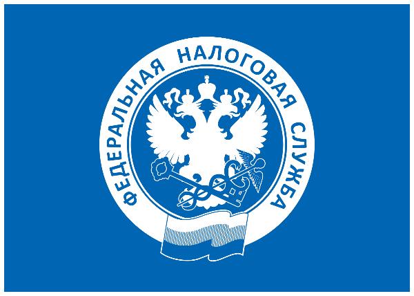 ФНС: как подать декларацию дистанционно ФНС: как подать декларацию дистанционно