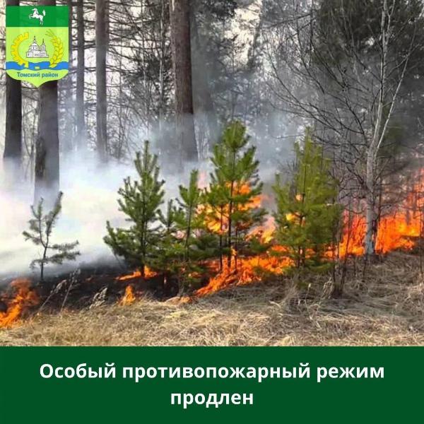 В Томской области продлён особый противопожарный режим В Томской области продлён особый противопожарный режим