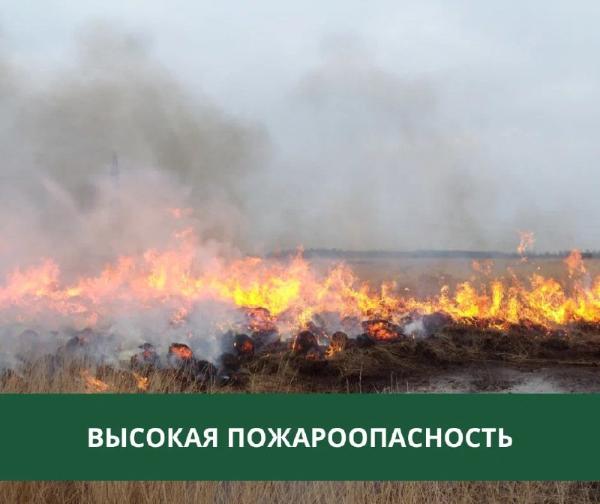 В Томской области ожидается высокая пожарная опасность В Томской области ожидается высокая пожарная опасность