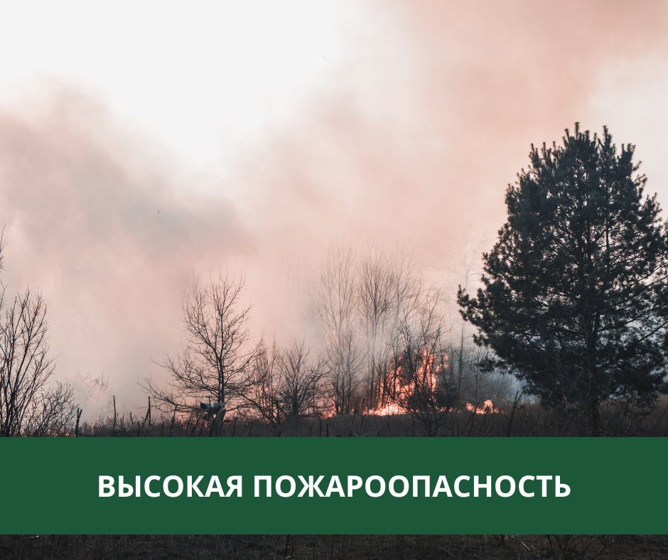 В Томском районе сохраняется высокая пожароопасность В Томском районе сохраняется высокая пожароопасность