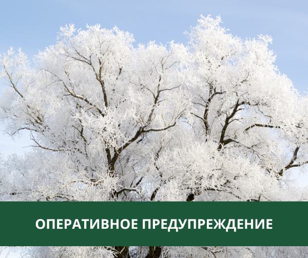 В Томском районе ожидается аномально холодная погода В Томском районе ожидается аномально холодная погода