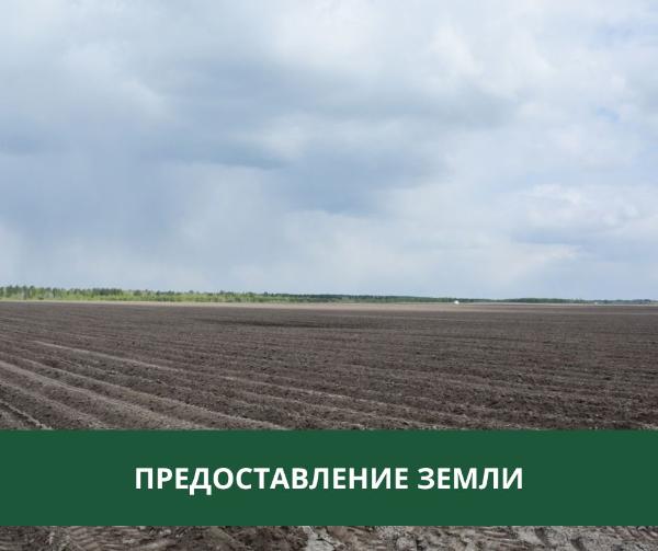 Администрация Томского района предоставляет землю в аренду Администрация Томского района предоставляет землю в аренду