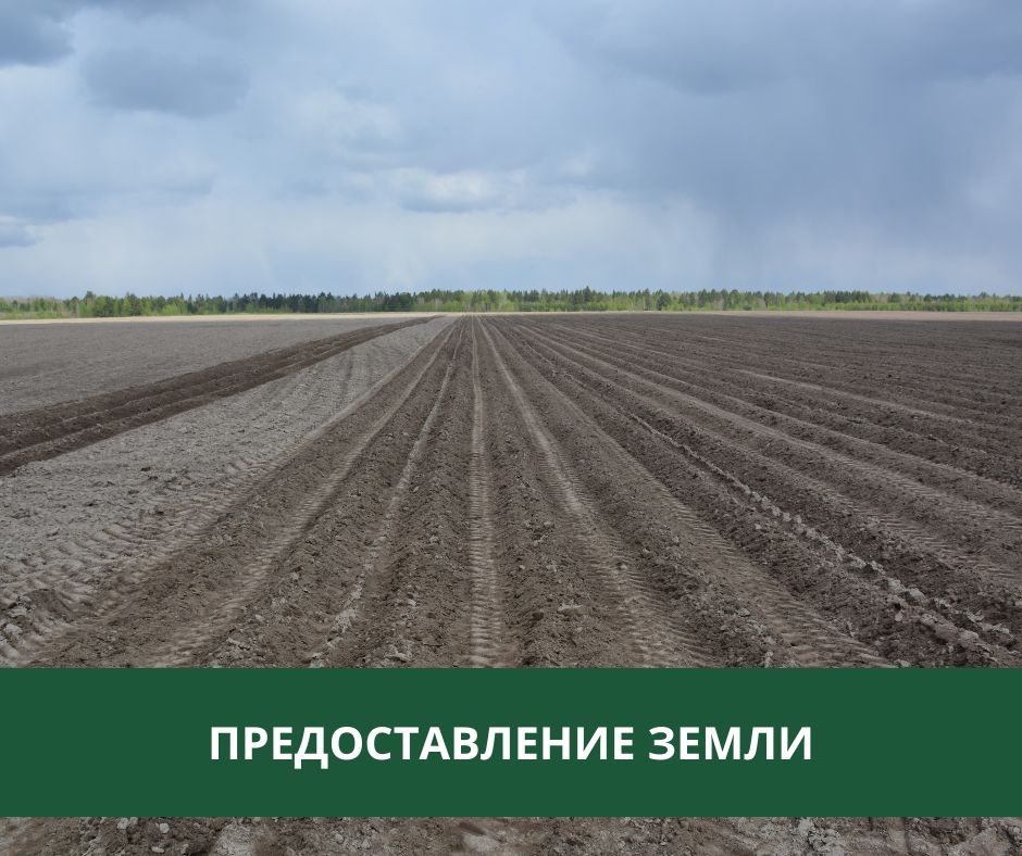 Администрация Томского района предоставляет землю в собственность Администрация Томского района предоставляет землю в собственность