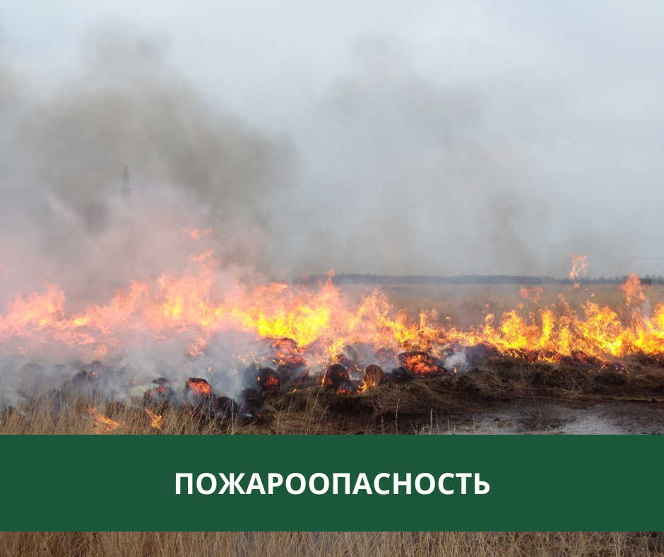 В Томском районе сохраняется чрезвычайная пожарная опасность В Томском районе сохраняется чрезвычайная пожарная опасность