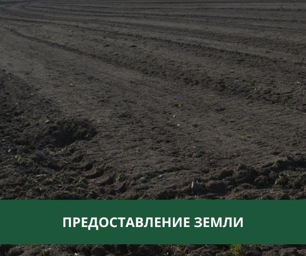 Администрация Томского района предоставляет землю в аренду и в собственность Администрация Томского района предоставляет землю в аренду и в собственность