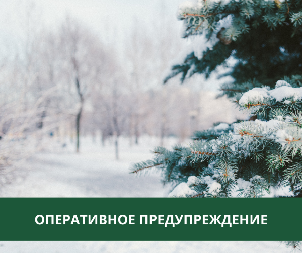Аномальные морозы ожидаются в Томском районе Аномальные морозы ожидаются в Томском районе