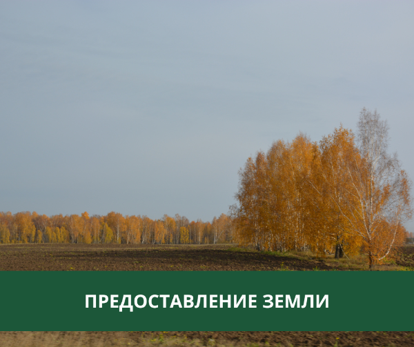 Администрация Томского района предоставляет землю в собственность Администрация Томского района предоставляет землю в собственность
