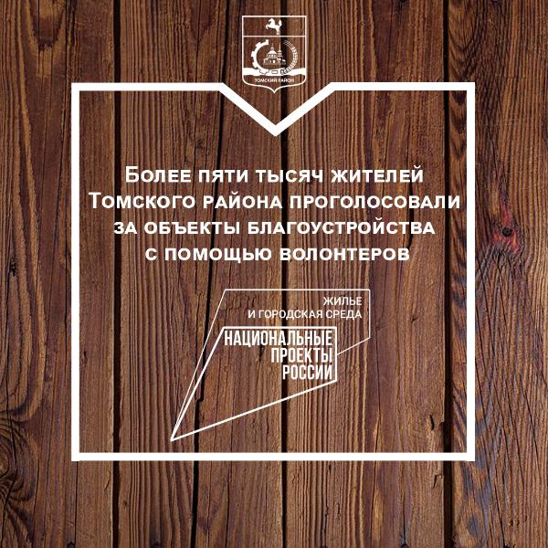 Более пяти тысяч жителей Томского района проголосовали за объекты благоустройства с помощью волонтеров Более пяти тысяч жителей Томского района проголосовали за объекты благоустройства с помощью волонтеров
