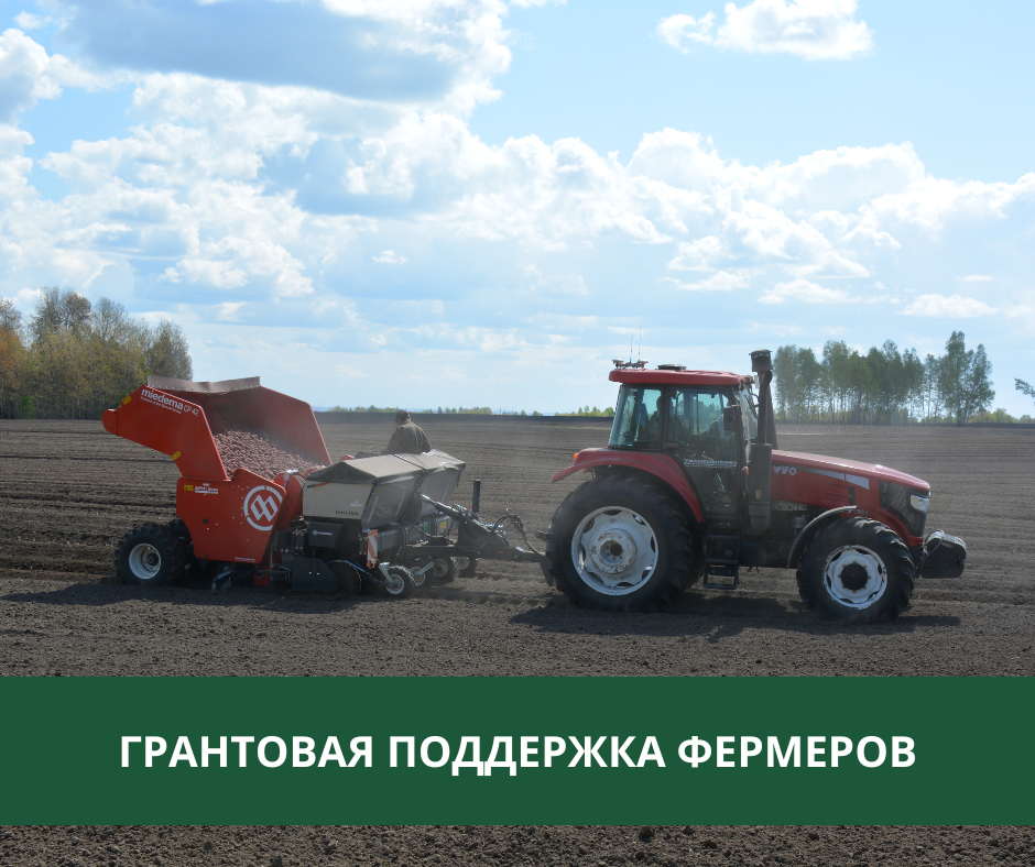 Объявлен дополнительный отбор заявок на гранты Объявлен дополнительный отбор заявок на гранты