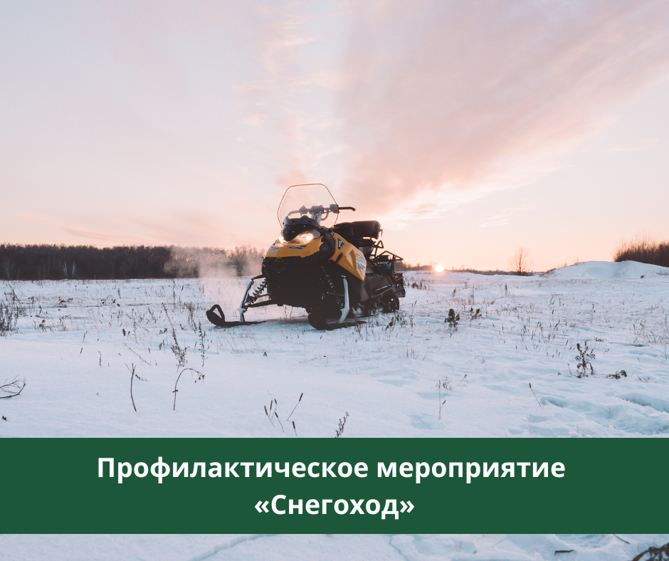 В декабре пройдет профилактическое мероприятие "Снегоход" В декабре пройдет профилактическое мероприятие "Снегоход"