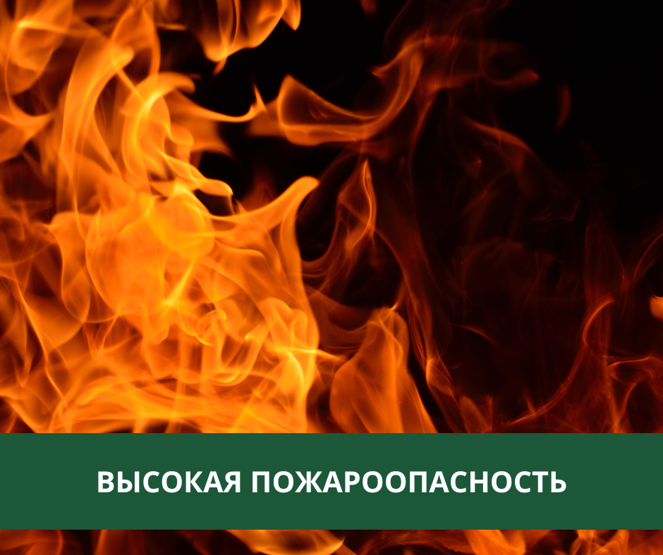 В Томской области введен особый противопожарный режим В Томской области введен особый противопожарный режим