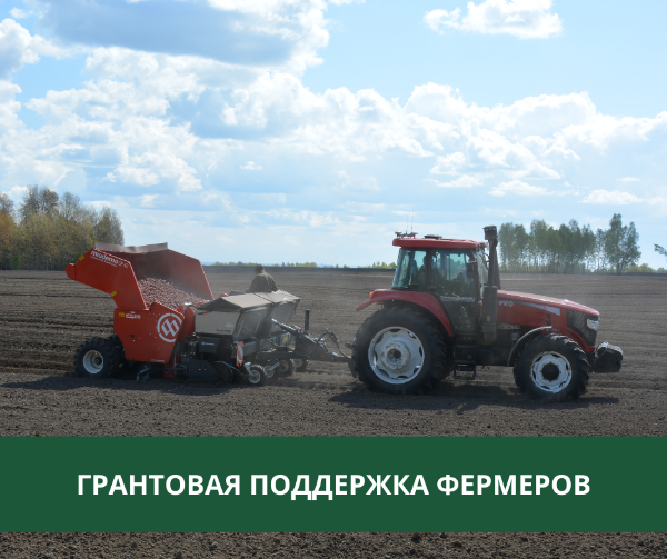 Фермеры Томского района получили государственную поддержку Фермеры Томского района получили государственную поддержку