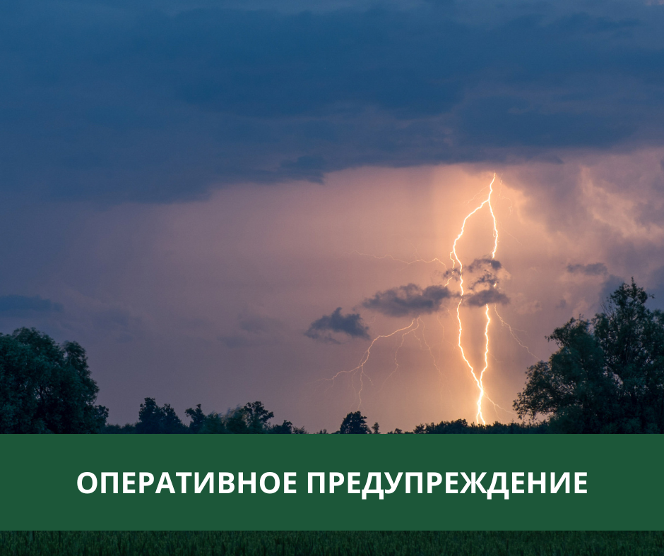 В Томском районе местами ожидаются дожди и грозы В Томском районе местами ожидаются дожди и грозы