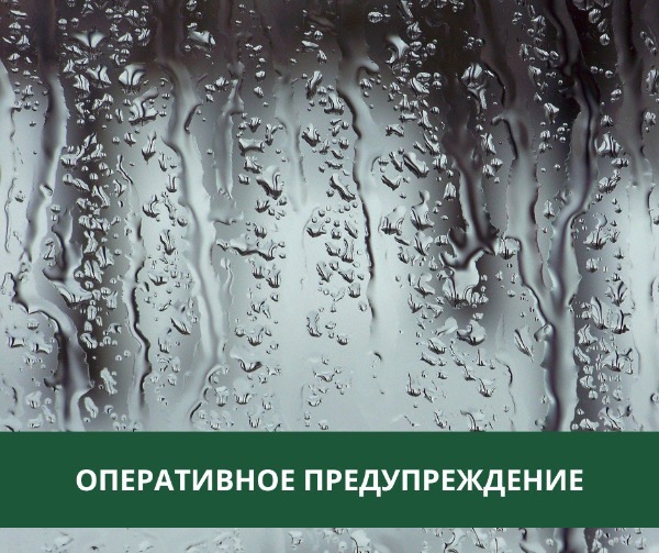 В Томском районе ожидаются дожди, грозы и сильные порывы ветра В Томском районе ожидаются дожди, грозы и сильные порывы ветра