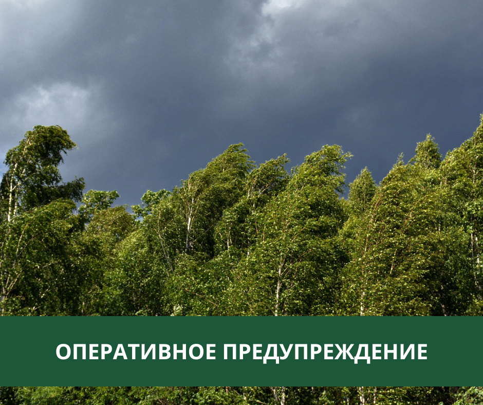 Дожди и порывы ветра ожидаются в Томском районе Дожди и порывы ветра ожидаются в Томском районе
