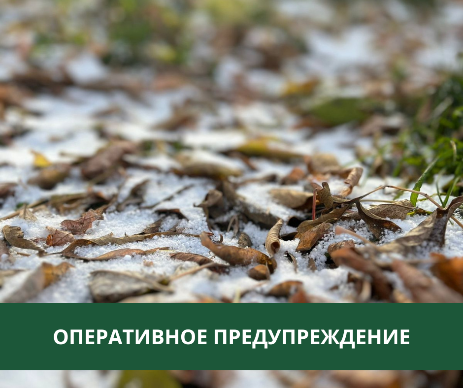 В Томском районе ожидаются заморозки В Томском районе ожидаются заморозки