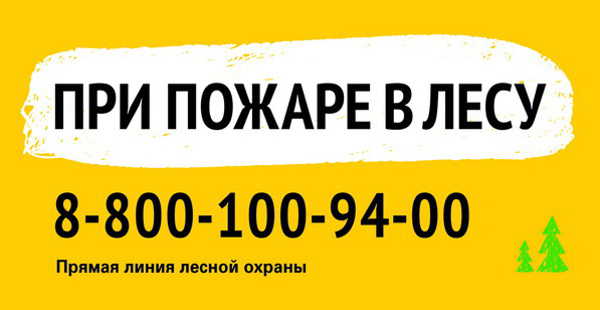 Берегите лес от пожара Берегите лес от пожара