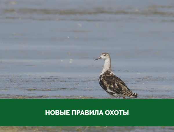 Жителям Томского района нужно обратить внимание на новые правила охоты Жителям Томского района нужно обратить внимание на новые правила охоты