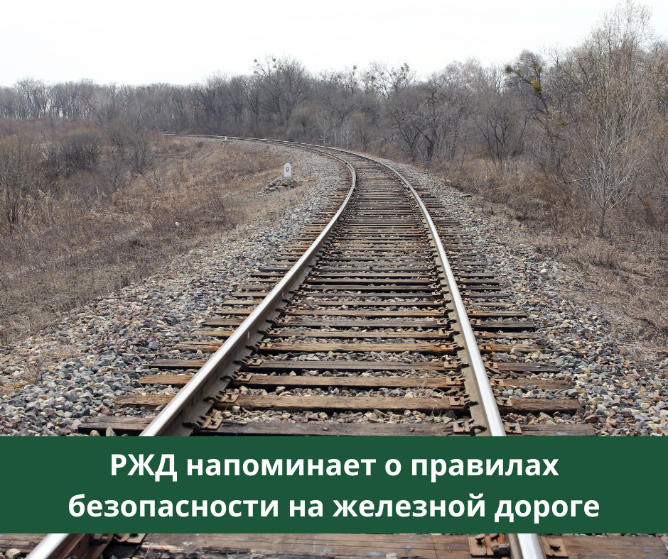 Детский травматизм на железной дороге Детский травматизм на железной дороге