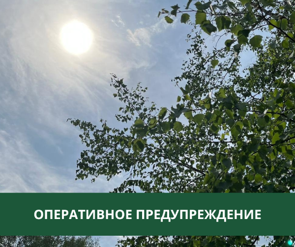 В Томском районе ожидаются дожди, грозы и порывы ветра В Томском районе ожидаются дожди, грозы и порывы ветра