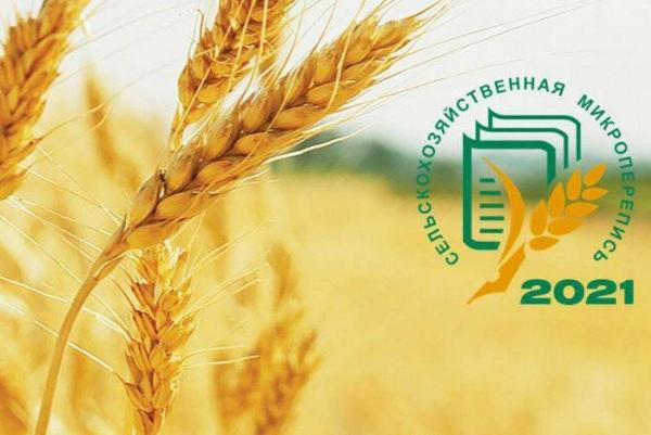 Подробно: микросельхозперепись пройдёт в августе Подробно: микросельхозперепись пройдёт в августе