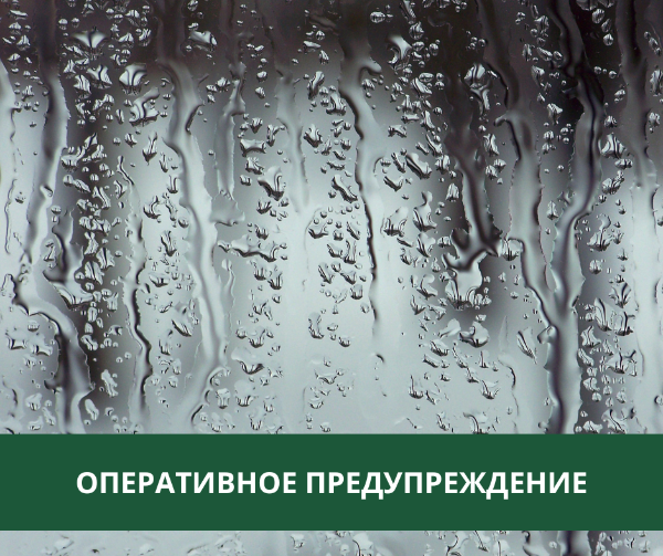 В Томском районе ожидаются ливни, грозы и усиление ветра В Томском районе ожидаются ливни, грозы и усиление ветра