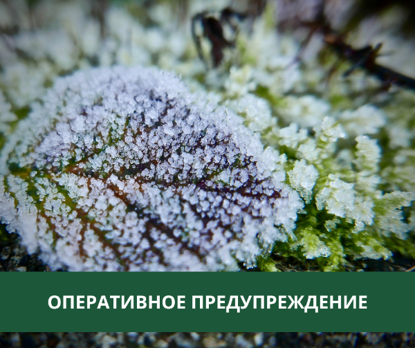 В Томском районе ожидаются заморозки В Томском районе ожидаются заморозки