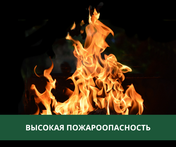 В Томской области ожидается высокая пожарная опасность В Томской области ожидается высокая пожарная опасность