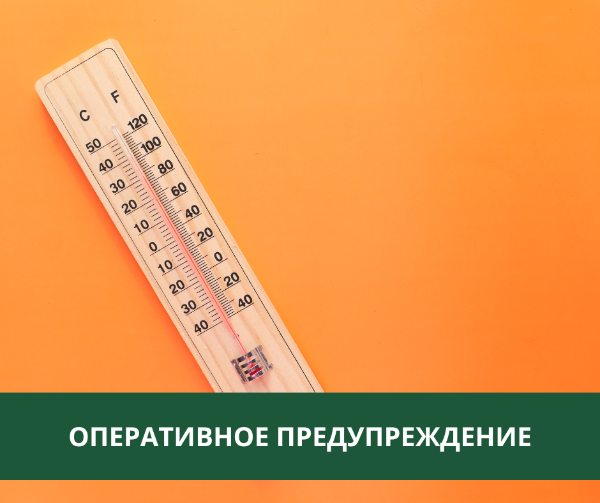В Томском районе сохраняется аномально жаркая погода В Томском районе сохраняется аномально жаркая погода
