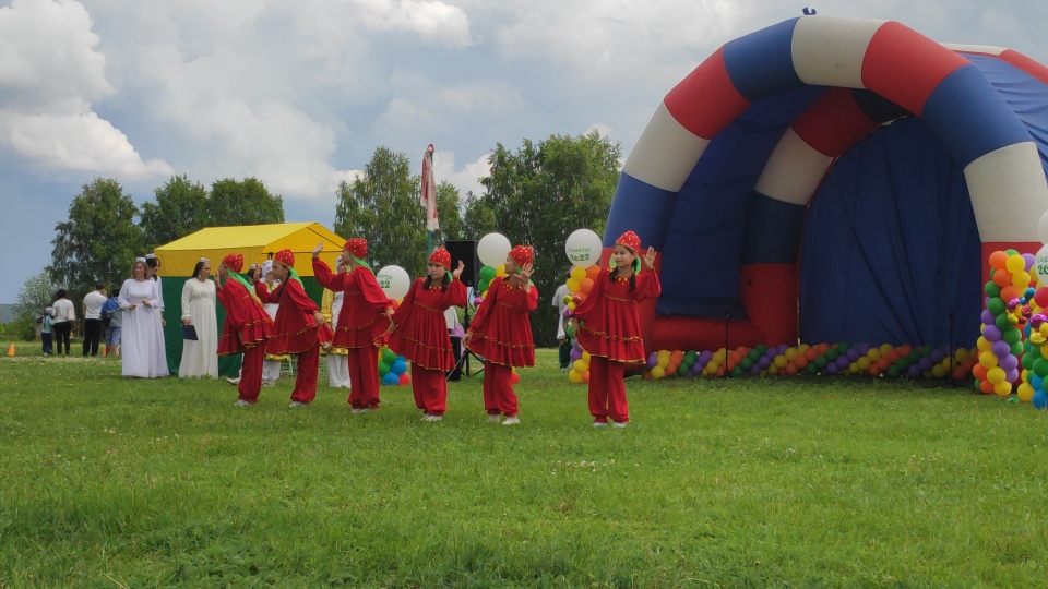 IMG_20220619_130423.jpg