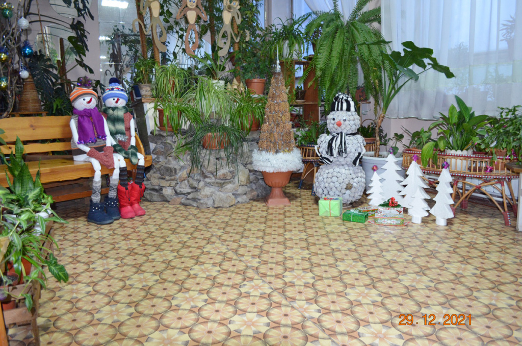 DSC_0989.JPG