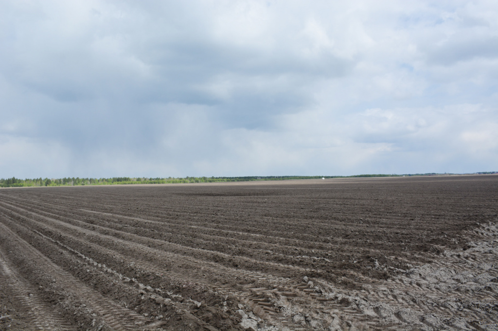 DSC_0325.JPG