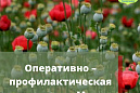      -2022